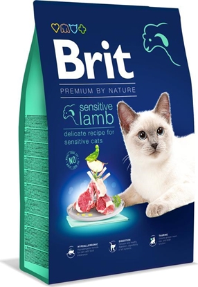 Изображение Brit Karma Dry Premium Sensitive z jagnięciną 0,3kg