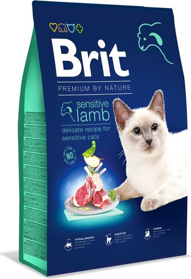 Picture of Brit Karma Dry Premium Sensitive z jagnięciną 0,3kg