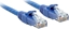 Picture of Lindy 1m Cat.6 U/UTP Cable, Blue