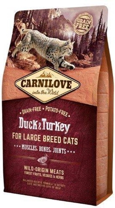 Attēls no Carnilove LARGE DUCK TURKEY 2 kg