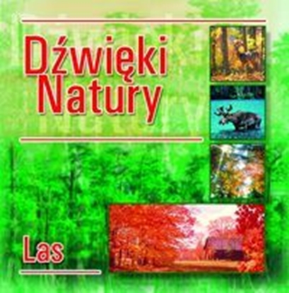 Изображение CD Dżwięki natury- las