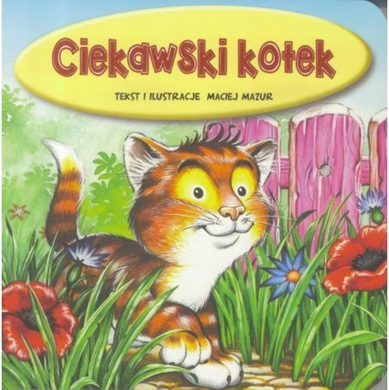 Picture of Ciekawski kotek