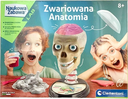 Изображение Clementoni Zestaw Edukacyjny Anatomia