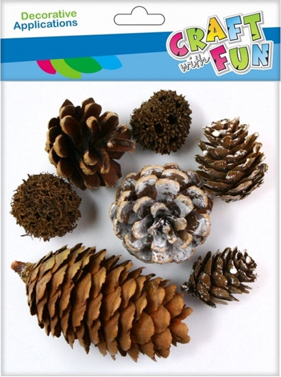 Изображение Craft with Fun CF OZDOBA DEK NATURA SZYSZKA 7SZT MIX PBH 12/288