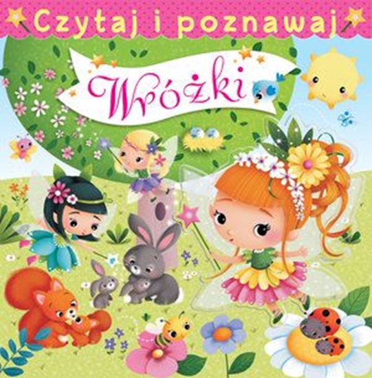 Изображение Czytaj i poznawaj. Wróżki (220656)