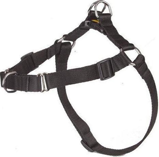 Picture of Dingo DINGO SZELKI EASY WALK 52-74cm CZARNE