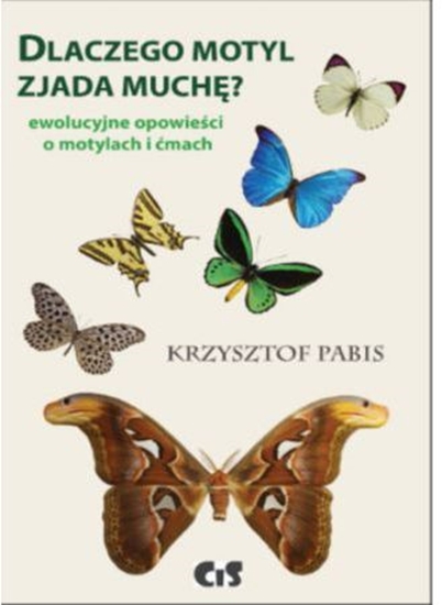 Изображение Dlaczego motyl zjada muchę