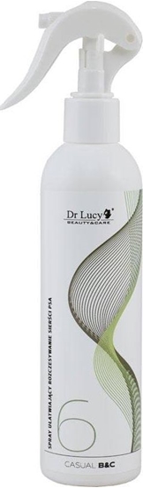 Picture of Dr Lucy Dr Lucy Casual Line Nr 6 - spray ułatwiający rozczesywanie włosa, 250 ml uniwersalny