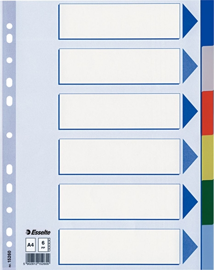 Picture of Esselte PRZEKŁADKI PLASTIKOWE 6 KARTEK ESSELTE PP A4 KOLOROWE