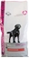 Attēls no EUKANUBA Adult Labrador Retriever 12kg