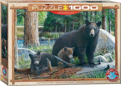 Изображение Eurographics Puzzle 1000 Globetrotter, Kanada