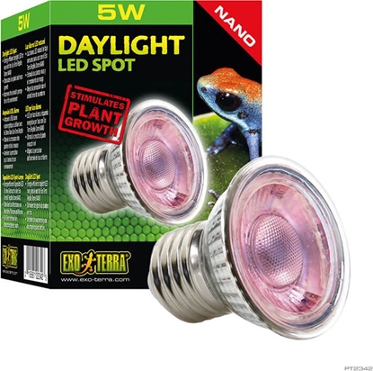 Attēls no Exo Terra Żarówka Exo Terra NANO Daylight LED Spot, 5W