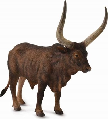 Изображение Figurka Collecta COLLECTA BYK ANKOLE-WATUSI