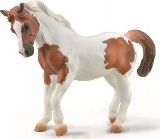 Picture of Figurka Collecta COLLECTA CHINCOTEAGUE PONY MAŚCI KASZTANOWATEJ PINTO