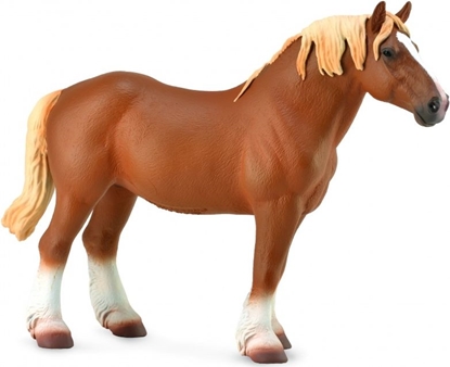 Attēls no Figurka Collecta Ogier Belgian Mare gniady (004-88819)