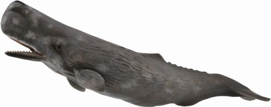 Picture of Figurka Collecta SPERM WHALE