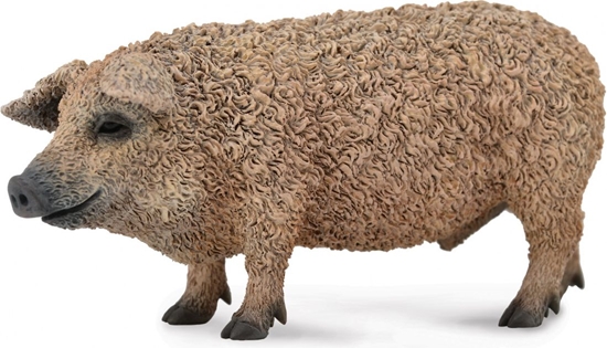 Picture of Figurka Collecta Świnia Mangalica (004-88674)