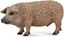 Attēls no Figurka Collecta Świnia Mangalica (004-88674)