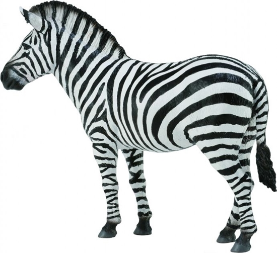 Изображение Figurka Collecta Zebra Common (004-88830)