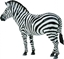 Attēls no Figurka Collecta Zebra Common (004-88830)