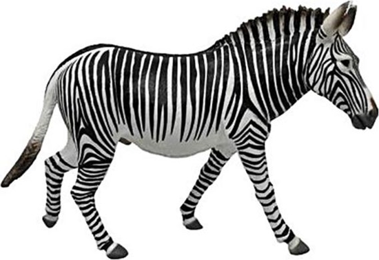 Изображение Figurka Collecta Zebra Grevy's (004-88773)