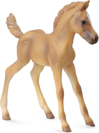 Picture of Figurka Collecta Źrebię Haflinger (004-88516)