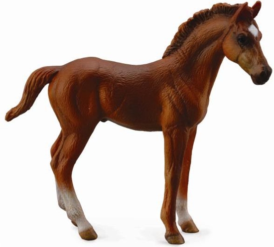 Picture of Figurka Collecta Źrebię Thoroughbred (88671)