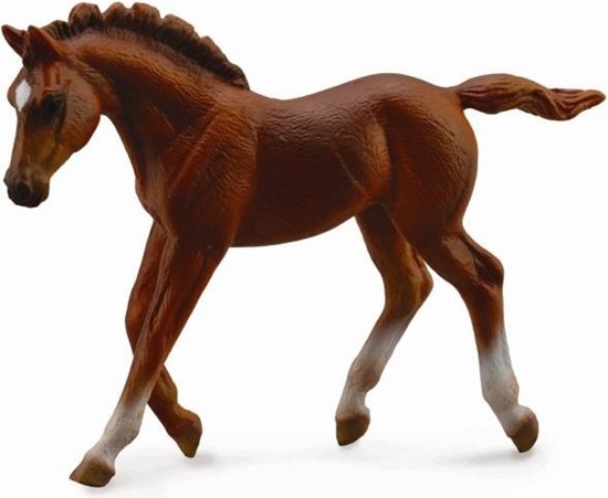 Picture of Figurka Collecta Źrebię Thorughbred Foal Chesnut (004-88670)