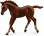 Picture of Figurka Collecta Źrebię Thorughbred Foal Chesnut (004-88670)