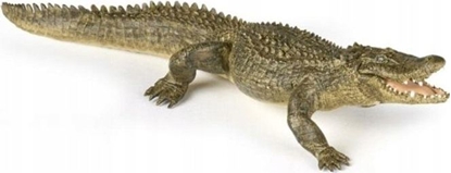 Attēls no Figurka Papo Figurka Aligator (401051)