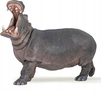 Attēls no Figurka Papo Hipopotam