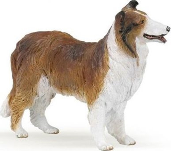 Picture of Figurka Papo Owczarek Collie