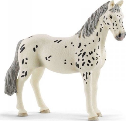 Attēls no Figurka Schleich Klacz rasy Knabstrupper