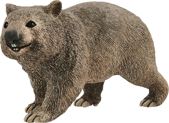 Picture of Figurka Schleich Wombat