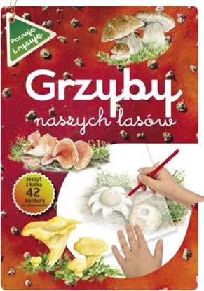 Picture of Grzyby naszych lasów