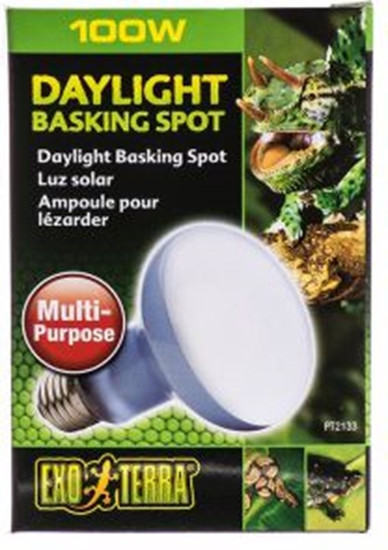 Изображение Hagen EXOTERRA ŻARÓWKA DAYLIGHT SPOT 75W