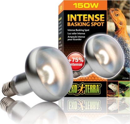 Изображение Hagen EXOTERRA ŻARÓWKA INTENSE SPOT 150W