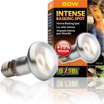 Изображение Hagen EXOTERRA ŻARÓWKA INTENSE SPOT 50W