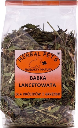 Picture of Herbal Pets BABKA LANCETOWATA 70g (009384)