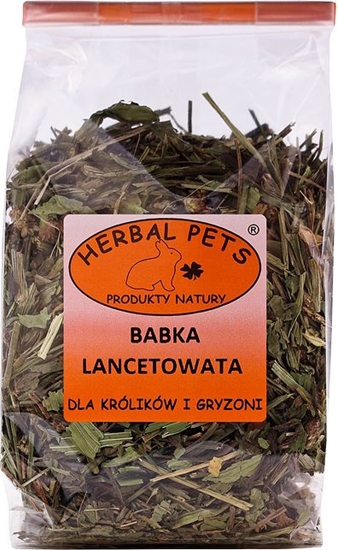 Picture of Herbal Pets BABKA LANCETOWATA 70g (009384)