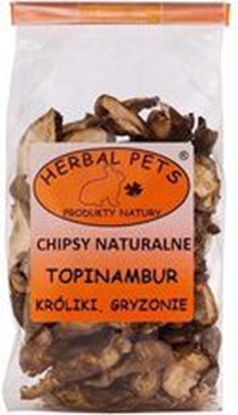 Изображение Herbal Pets CHIPSY TOPINAMBUR 75g