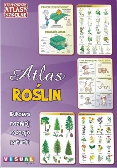 Picture of Ilustrowany atlas szkolny. Atlas roślin