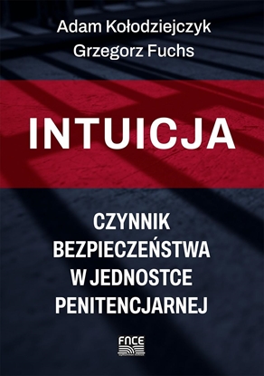 Изображение Intuicja. Czynnik bezpieczeństwa w jednostce...