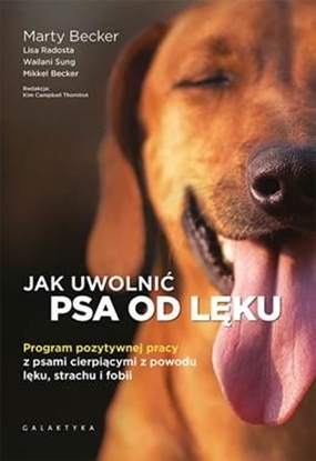 Attēls no Jak uwolnić psa od lęku. Program pozytywnej pracy