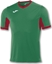 Picture of Joma Koszulka Joma Champion IV 100683.456 100683 456 zielony 164 cm