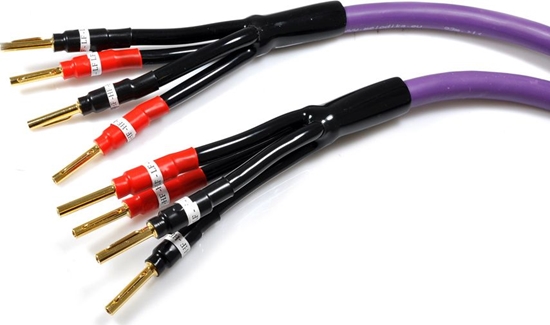 Изображение Kabel Melodika Banan x4 - Banan x4 2m fioletowy