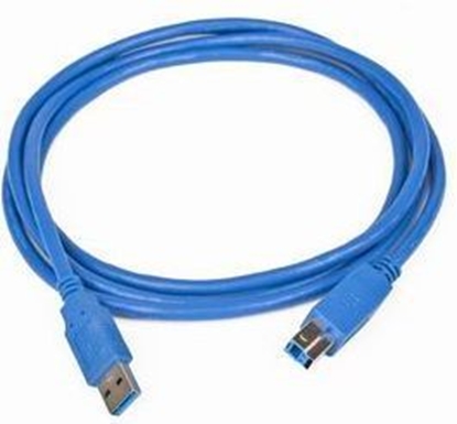 Изображение Kabel USB Gembird USB-A - USB-B 1.8 m Niebieski (CCPUSB3AMBM6)