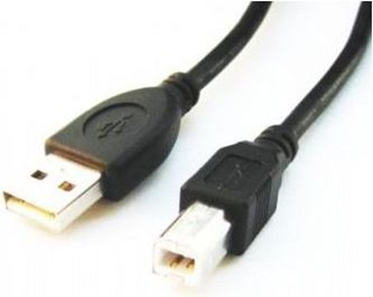 Picture of Kabel USB Gembird USB-A - USB-B 3 m Czarny (CCPUSB2AMBM10)