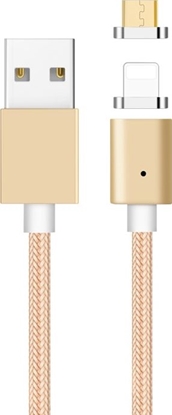 Attēls no Kabel USB Libox USB-A - Lightning 1 m Złoty (LB0113)