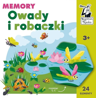 Изображение Kapitan Nauka Kapitan Nauka. Owady i robaczki. Memory